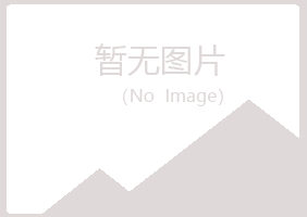 鹤壁山城平庸能源有限公司